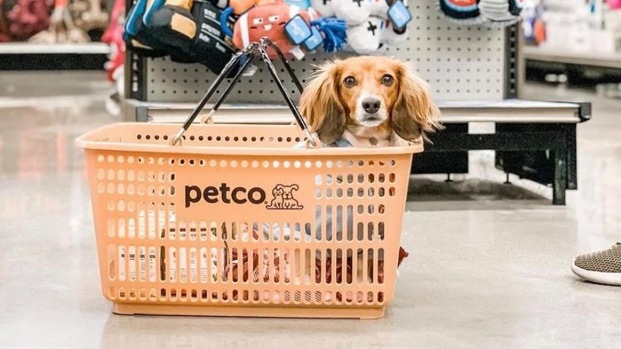 petco short squeeze