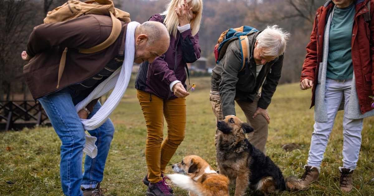 pn//uploads/fb ab ef fe ddd__