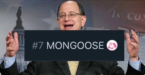 where to buy mongoose crypto