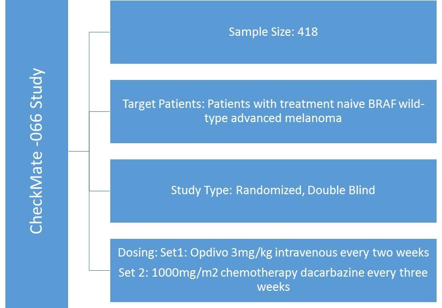 CheckMate -066 Study Supports Opdivo’s Approval