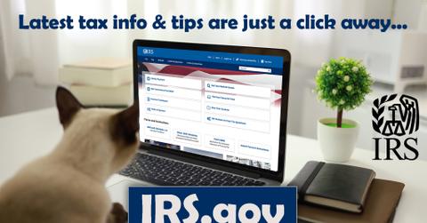 IRS website open on a laptop as a cat looks on