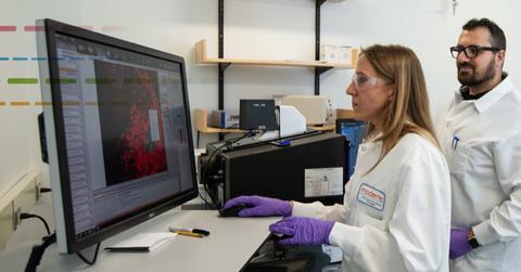 Moderna employees using a computer