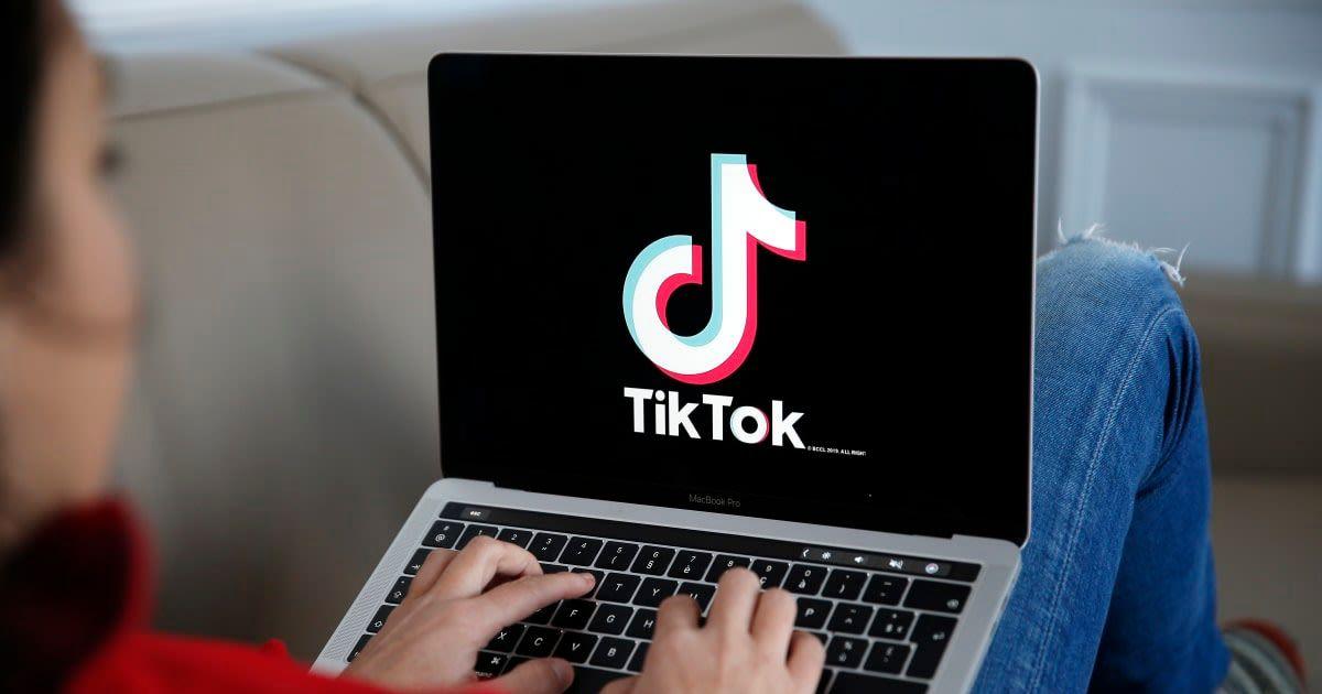 pn//uploads/ca e ee ed ef__