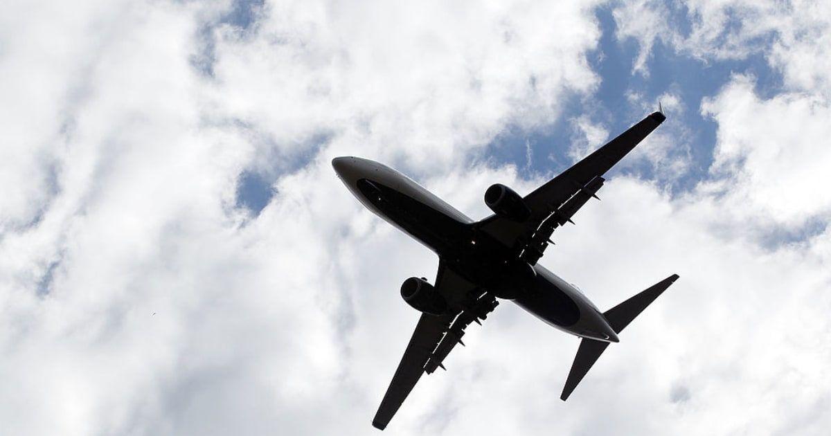 pn//uploads/ cf ee ab edbd__