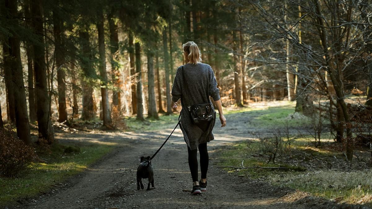 walking dog