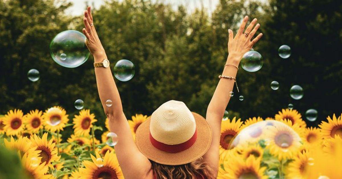 pn//uploads/e c ee  ebdace__