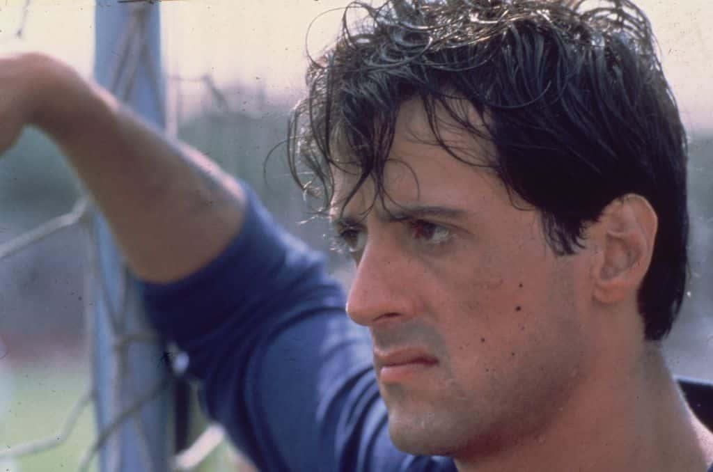 pn/fbc e ff c dcecfeb