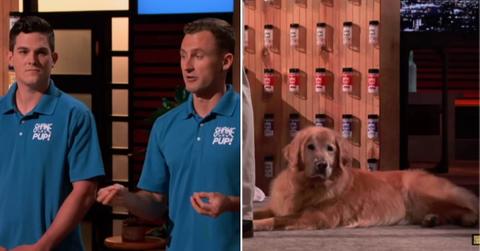 pn//uploads/ce a f b eacfad__