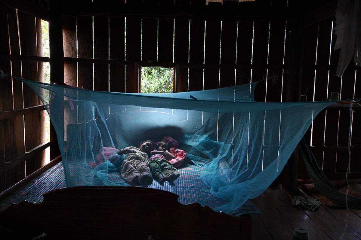 Mosquito nets over a bed in a cabin