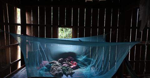 Mosquito nets over a bed in a cabin