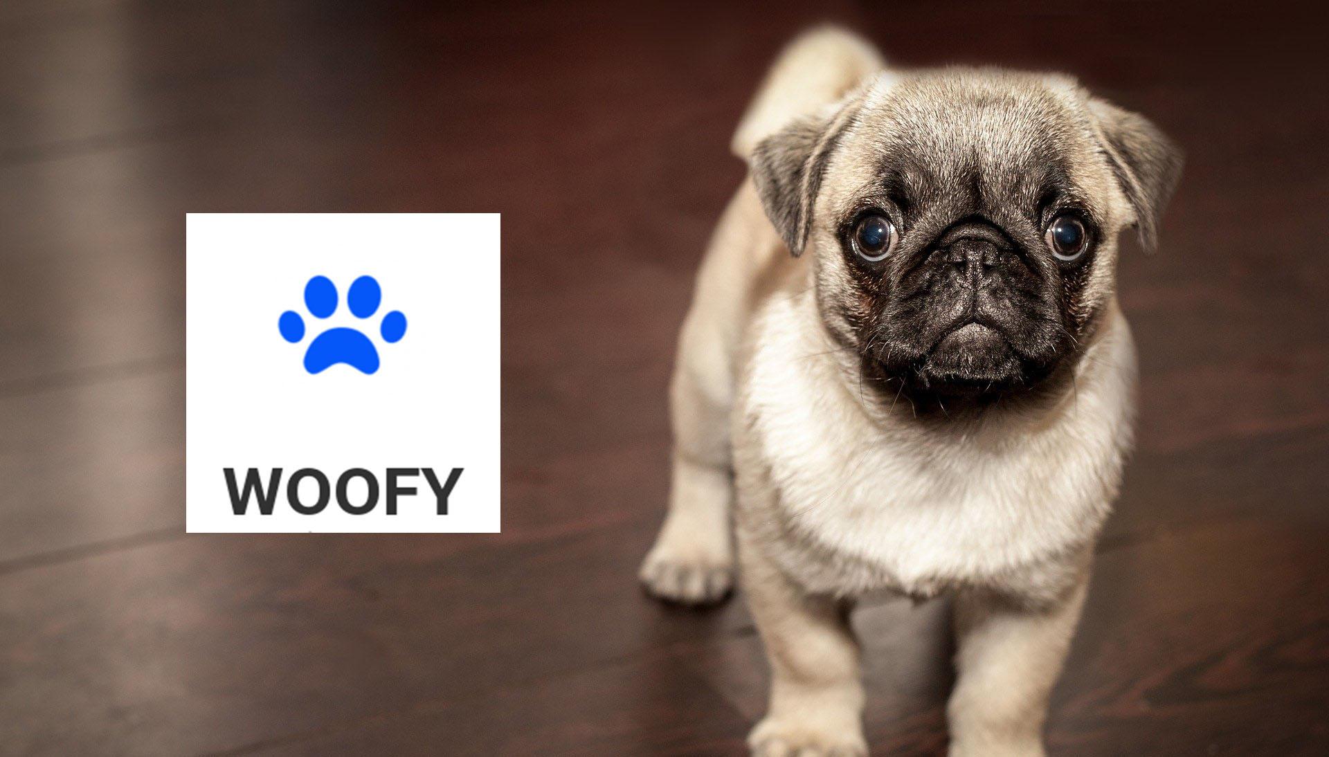 woofy crypto coin