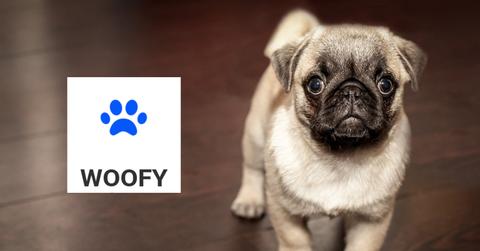 Woofy Logo Beside a Pug Dog
