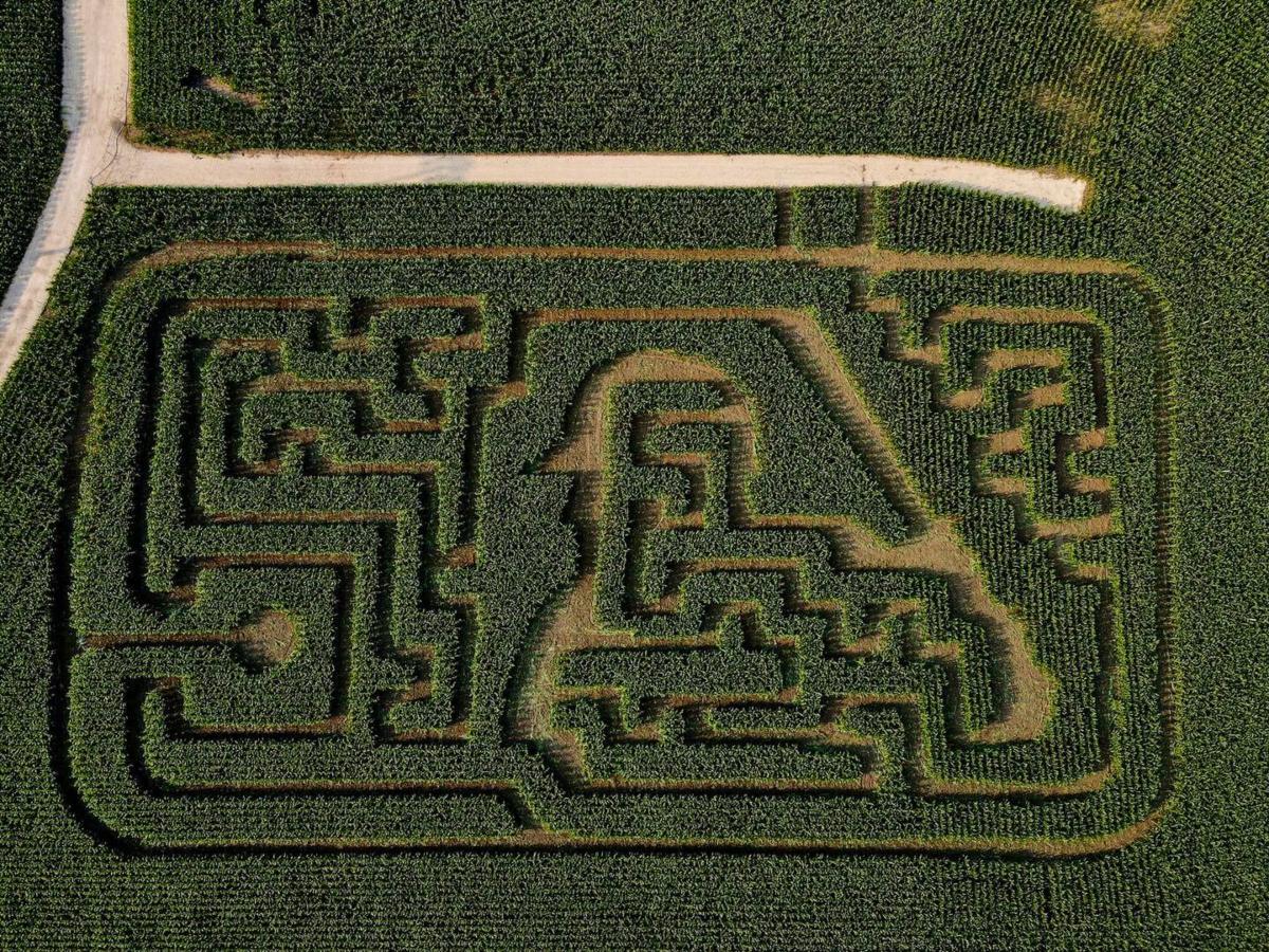 A corn maze built at the "Field of Dreams" movie site recently. 