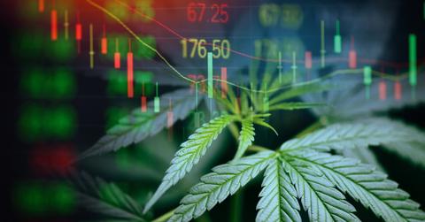 top marijuana penny stocks