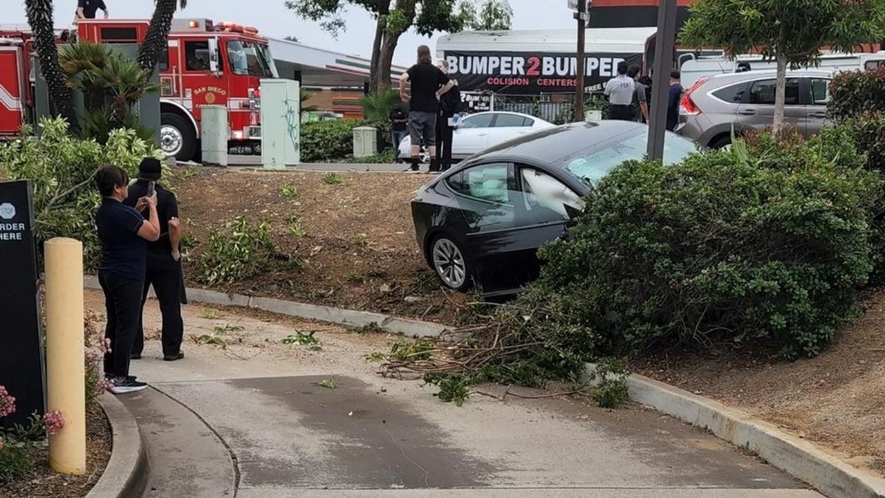 Tesla vehicle crashed into bush