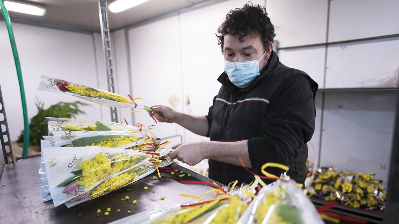 Florist working on flower bouquets