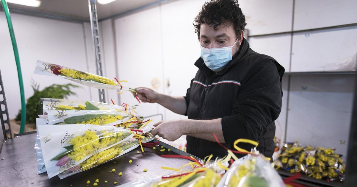 Can't Find Flowers in 2022? Flower Shortage and High Prices, Explained