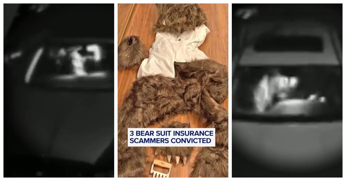 Defendants Face Court Over Bear Suit Insurance Scam