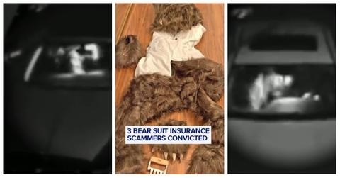Defendants Face Court Over Bear Suit Insurance Scam