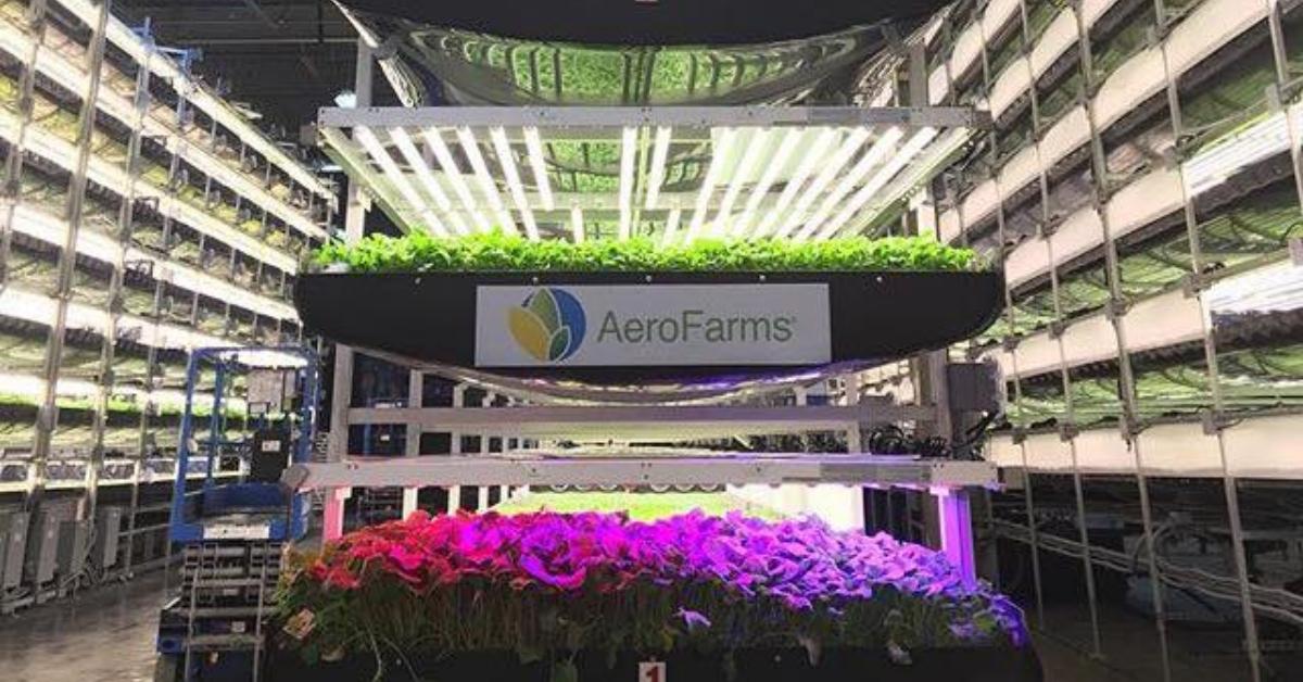 AeroFarms Indoor Vertical Farming