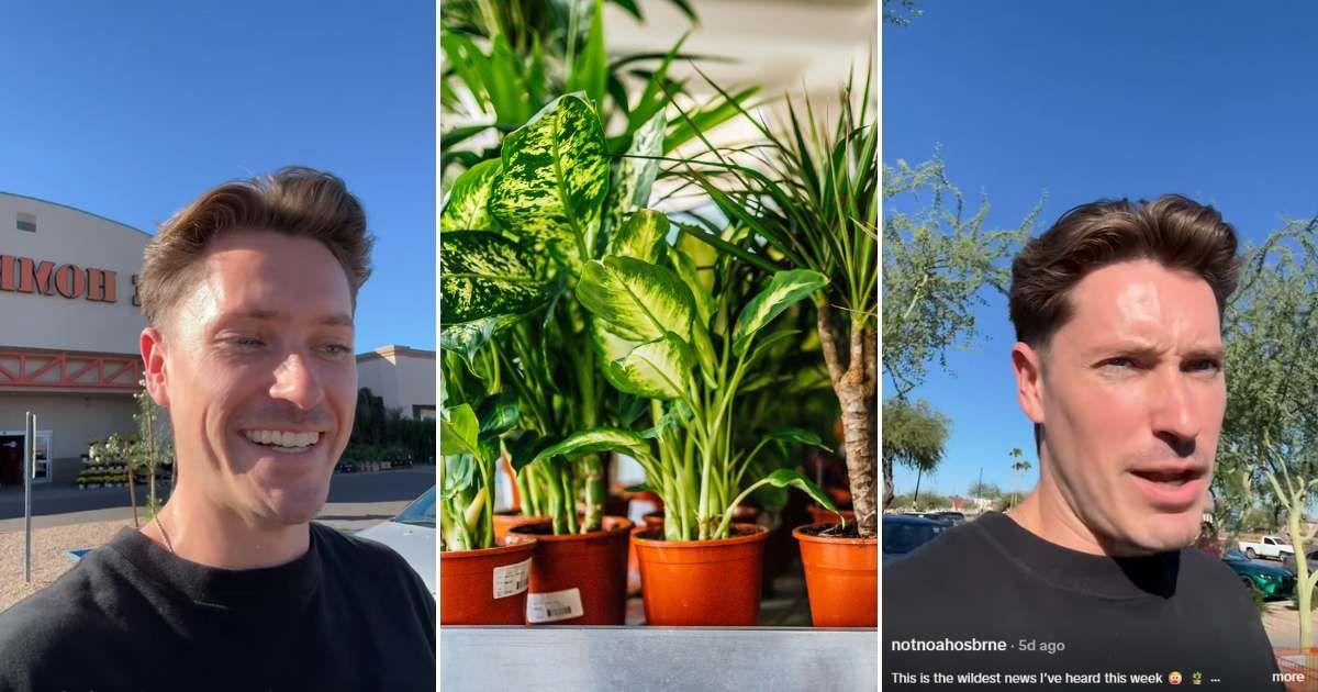 pn//uploads/fdc bd f aea fada__