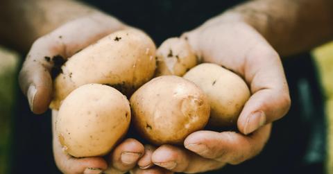 A person holding potatoes
