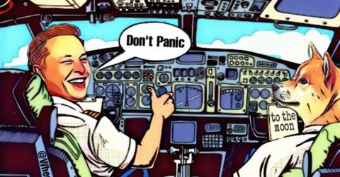 Elon Musk Dogecoin meme