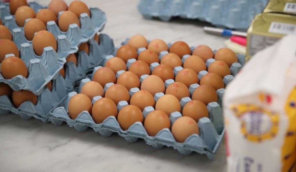 Cartons of eggs