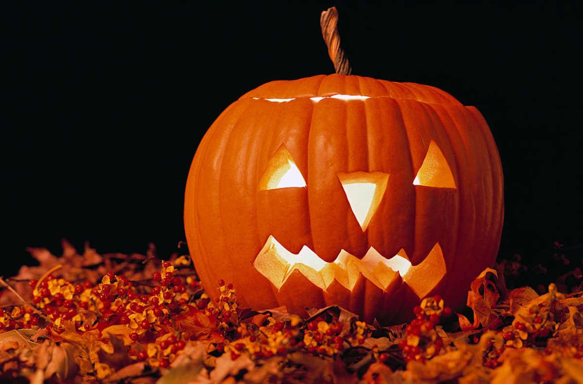 pn/bfeb fa bb af eeced