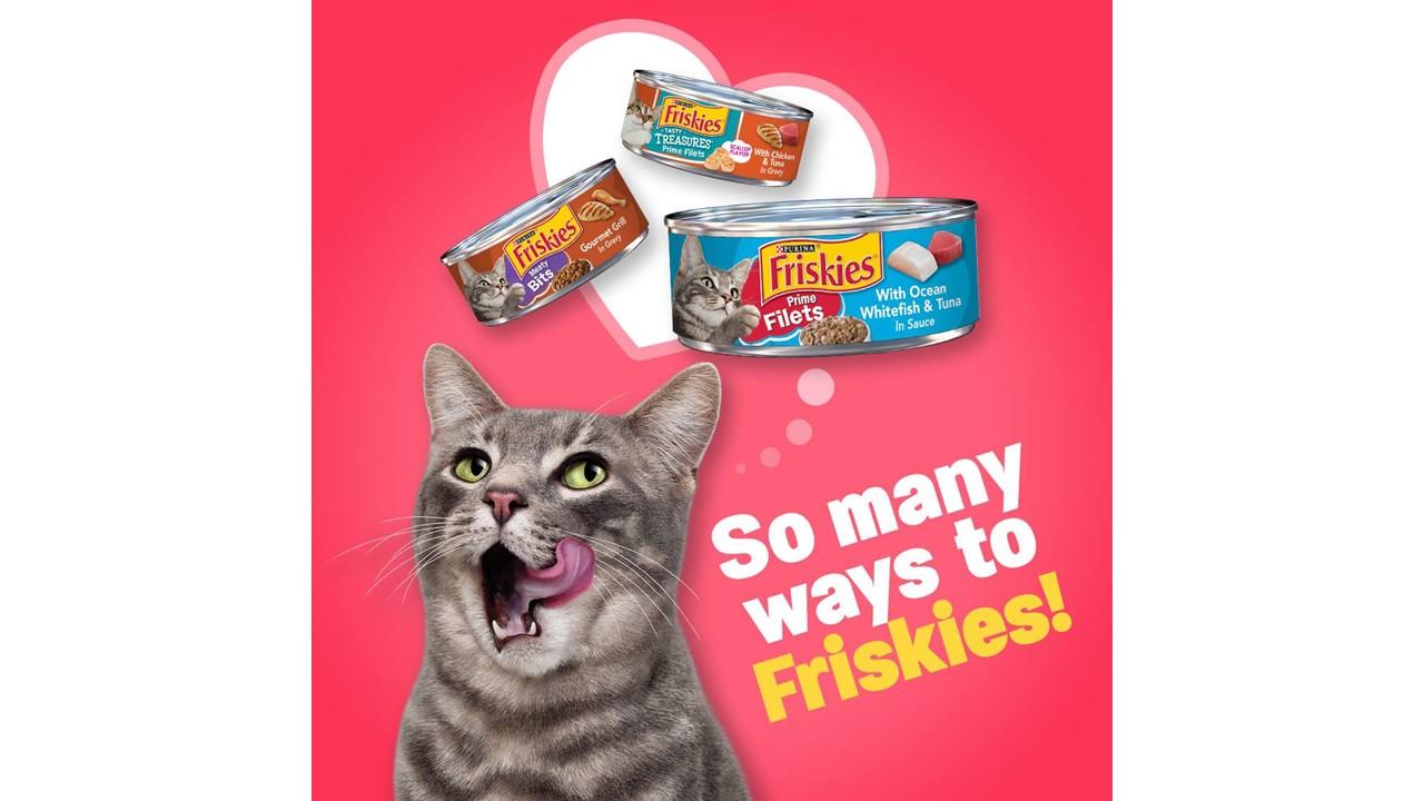 Little friskies hotsell canned cat food