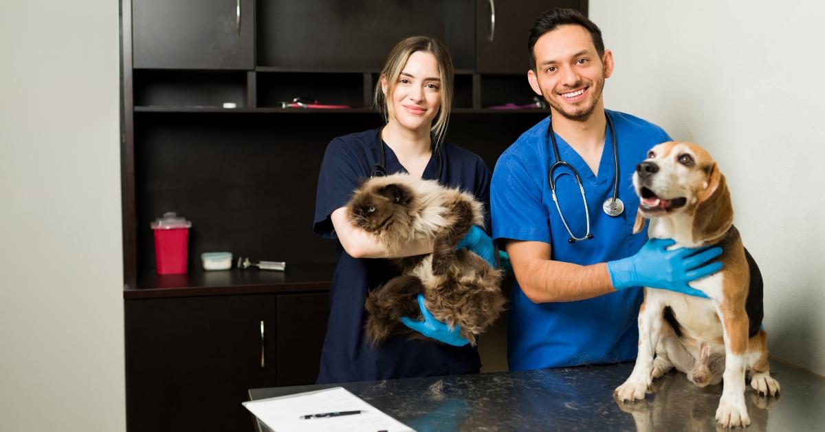 A veterinarian and vet tech with dog and cat.