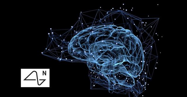 A human brain diagram and the Neuralink logo