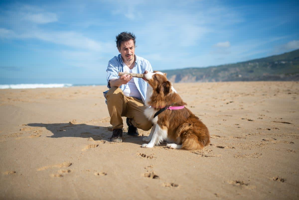 pn/ace ecd e b ecbaed