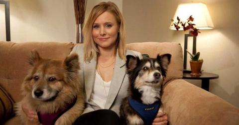 pn//uploads/cbd cb ef ada ede__