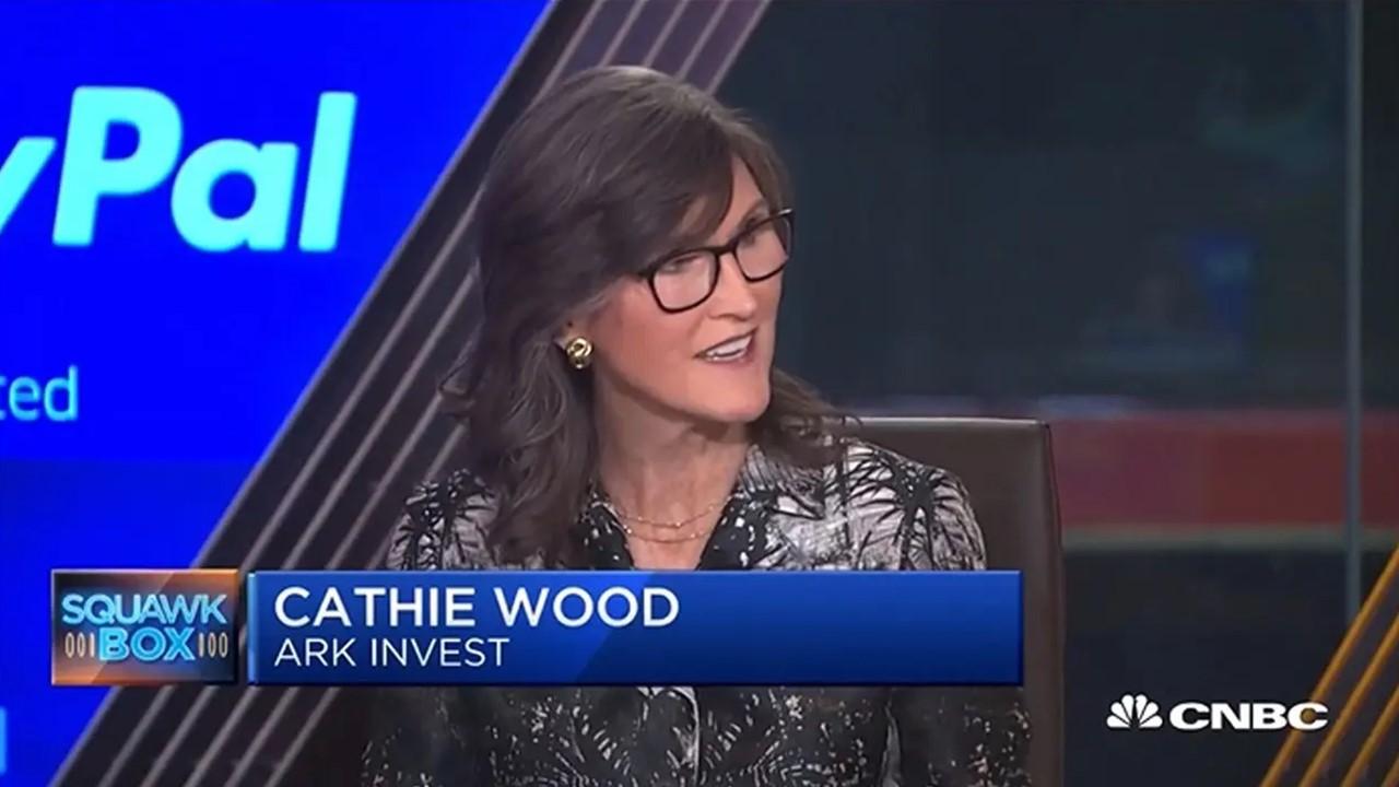 cathie wood net worth