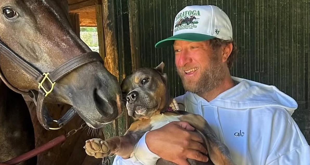 dave portnoy amex points