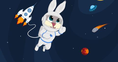 warlike bunny on a rocket
