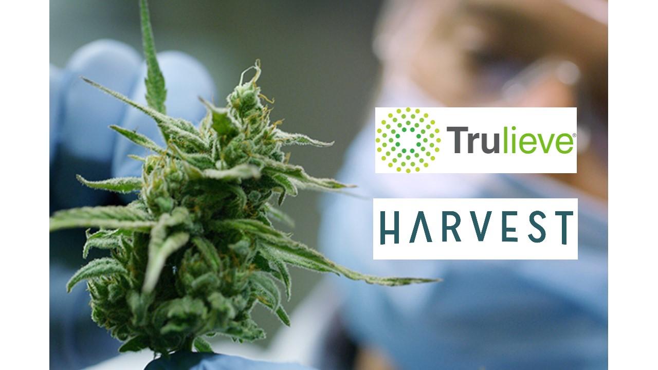 Trulieve and Harvest Health logos over marijuana