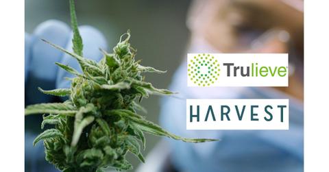 Trulieve and Harvest Health logos over marijuana