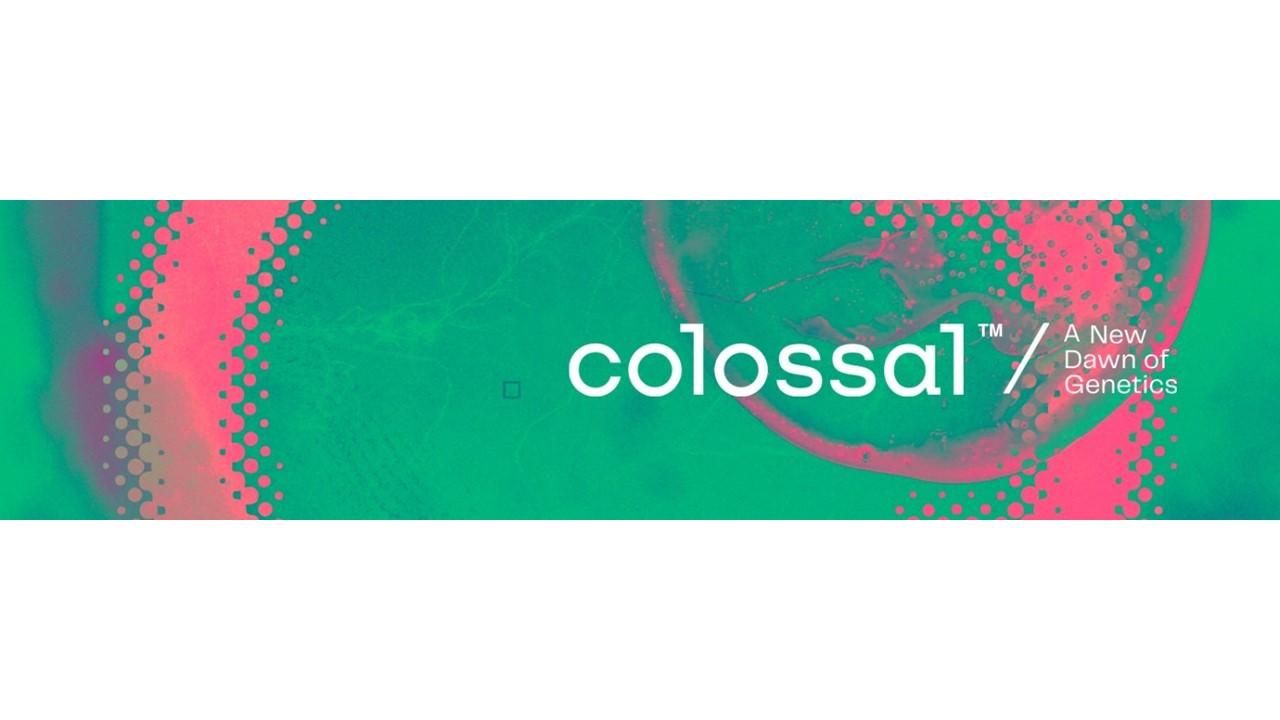 colossal