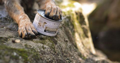 A dog with its paw on a can of wet food