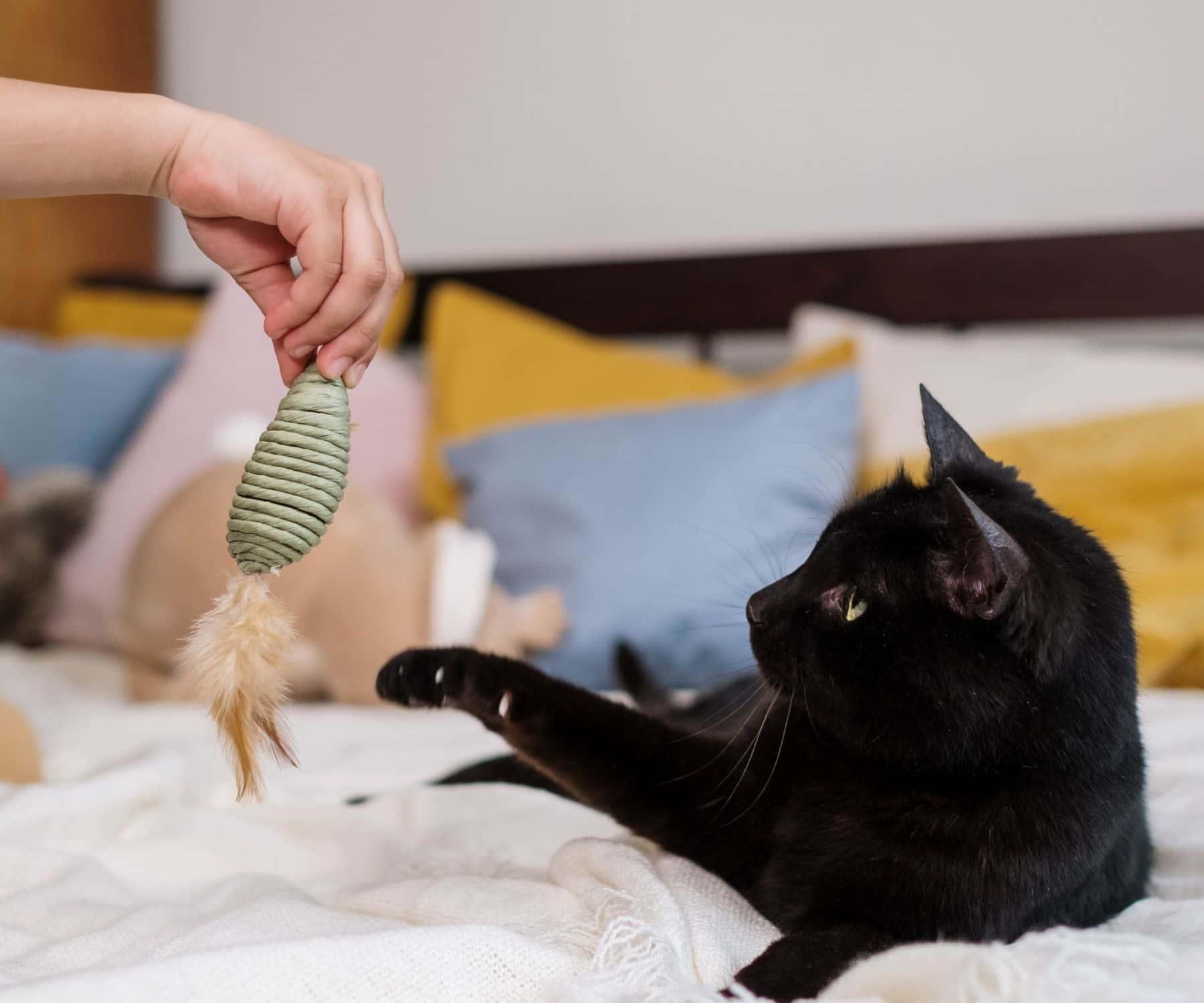 pn/aba be bb bb faad