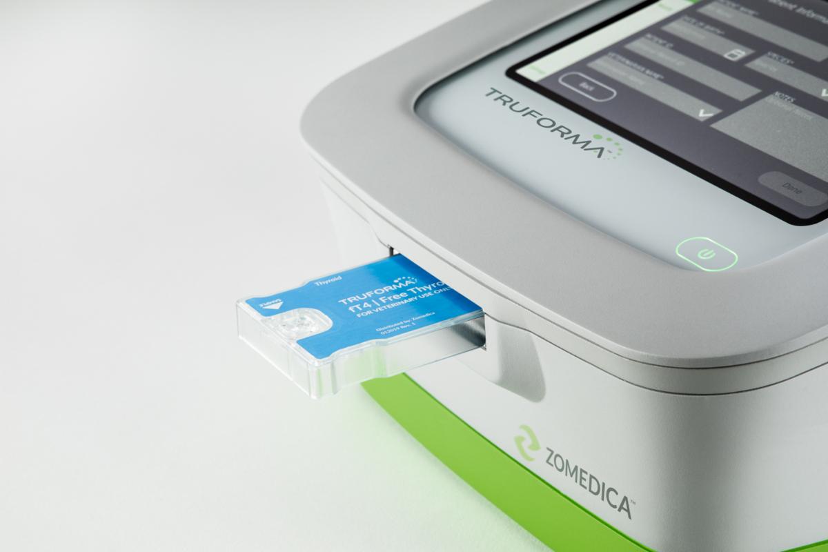 Zomedica Stock Forecast 2025 Will ZOM Rise or Fall More?