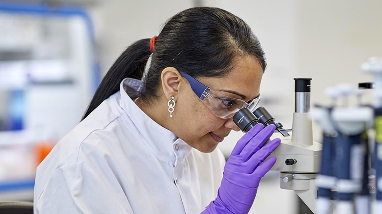 GlaxoSmithKline scientist using a microscope