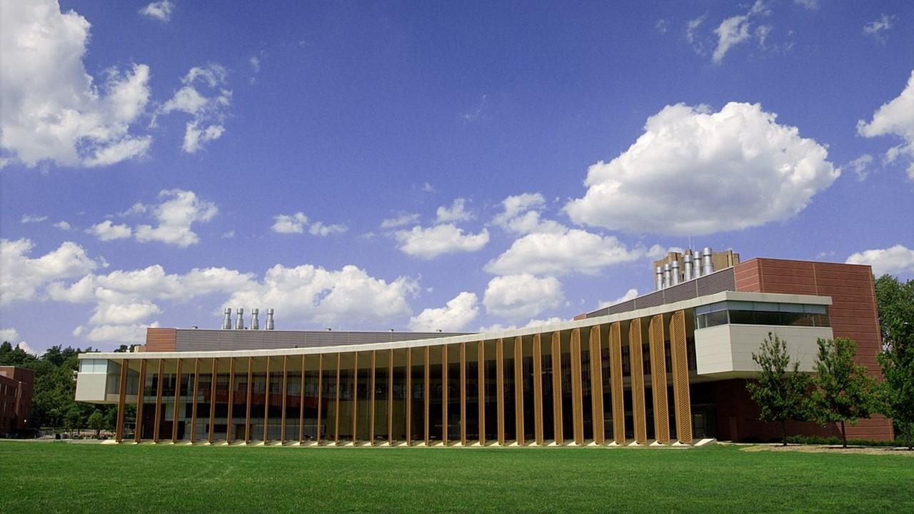 carl icahn library princeton