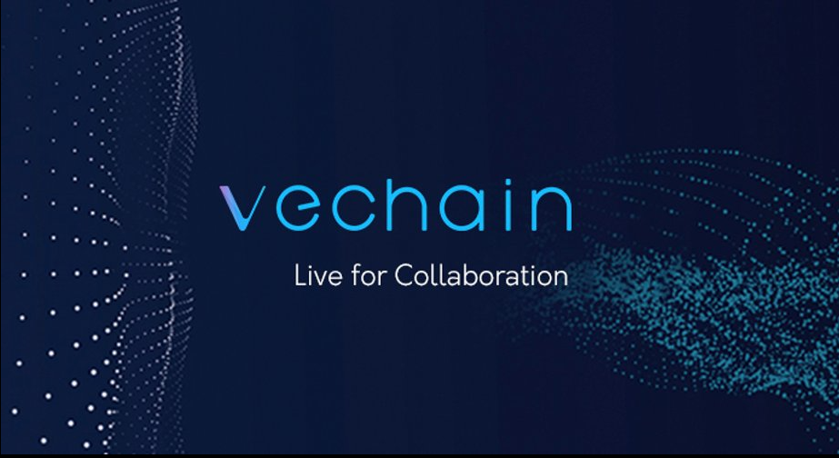 VeChain banner image