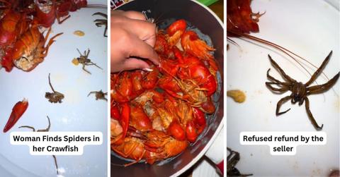 pn//uploads/cfee eb ee faab__