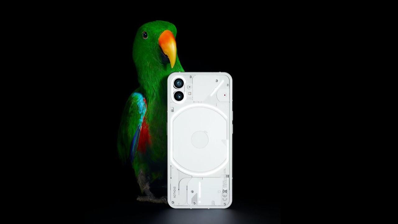 A parrot and a Nothing Phone