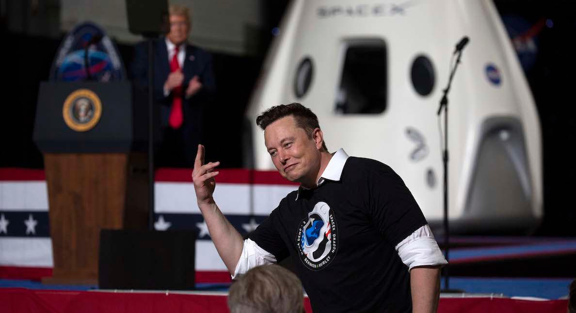 elon musk donald trump