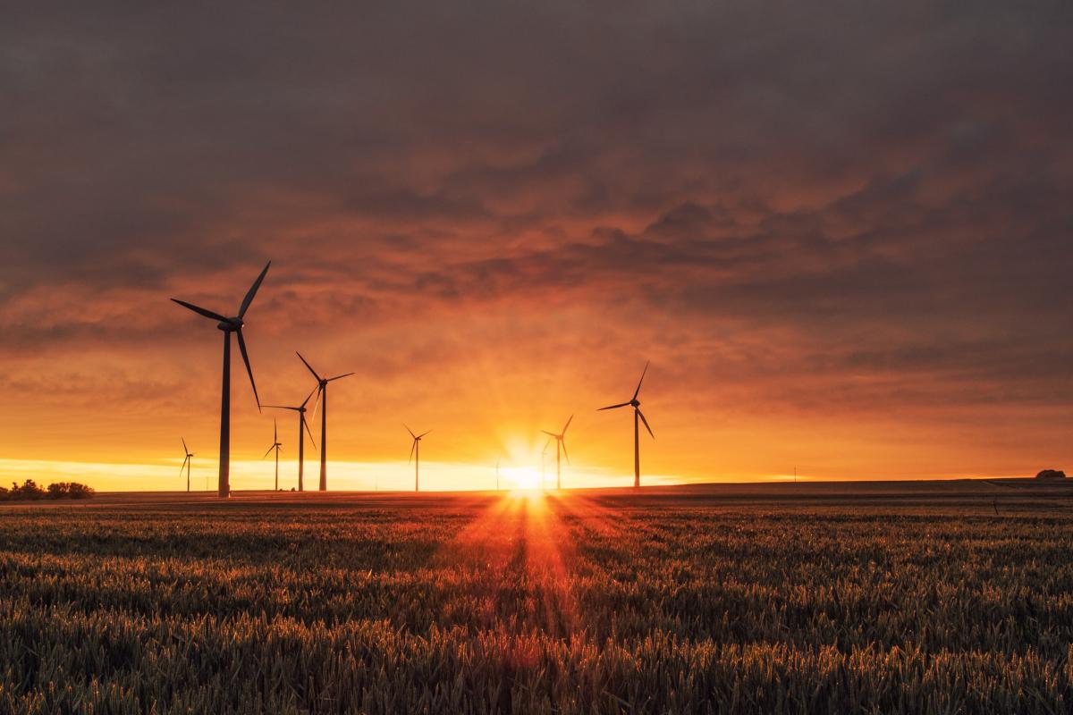 The Best Green Energy ETFs To Buy in 2021